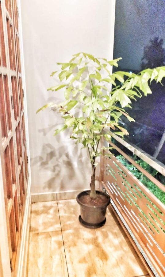 High Island Homestay Kochi Exterior photo